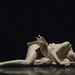 Anna Ruch Photo 7