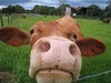 John Mccool Photo 14