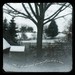 Judith Snow Photo 11