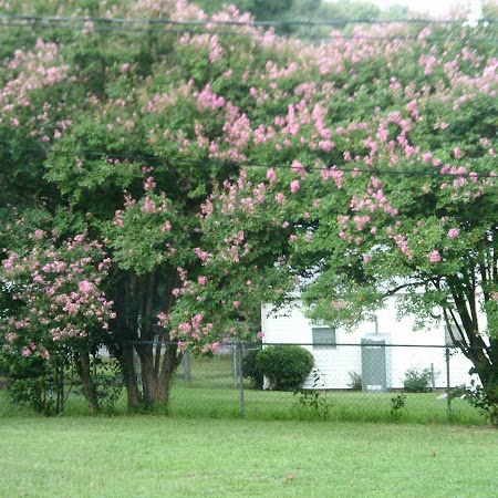 Julius Jacobs Photo 3