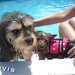 Renee Sewell Photo 10