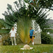 Keith Paradise Photo 13