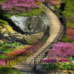 Carol Morris Photo 33