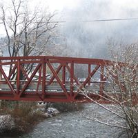 Diane Holman Photo 27