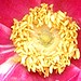 Robert Prest Photo 14