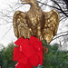 Robert Rawson Photo 22
