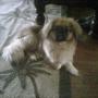 Mary Sterling Photo 4