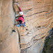 Mike Laws Photo 18