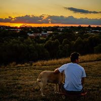 Cody Mitchell Photo 14