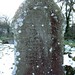 Mary Pickard Photo 24