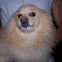 Betty Ritchie Photo 6