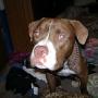 Tabitha Waller Photo 8