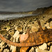 Robin Keeling Photo 14
