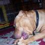 Kathy Workman Photo 23
