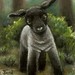 Tanya Lamb Photo 8