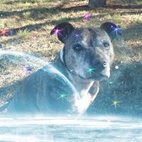 Lorna Webster Photo 9