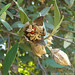 Mildred Sharp Photo 4