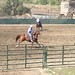 James Greer Photo 10