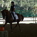 Michael Schiele Photo 10
