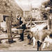 William Robertson Photo 31