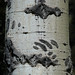 Mark Bear Photo 28