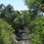 Ann Perdue Photo 16