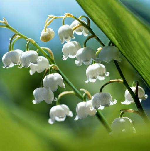 Jennifer Meng Photo 19