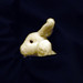 Roger Hash Photo 4