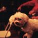 Jerry Nolte Photo 5