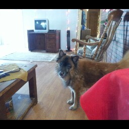 Connie Joyce Photo 34