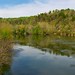 James Ridge Photo 25