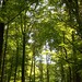 Mark Wald Photo 28