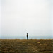 Evan Phillips Photo 25