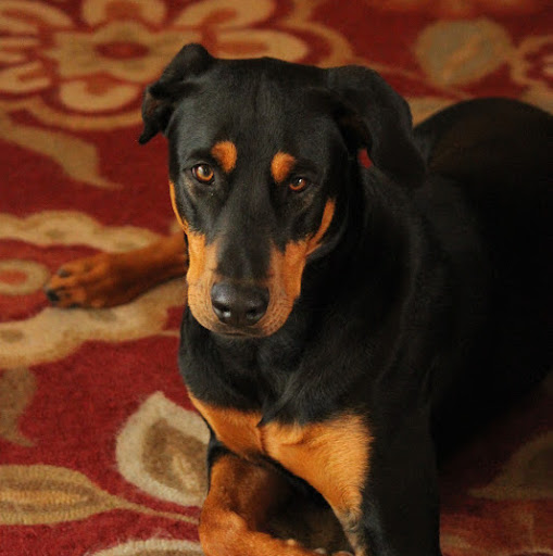 Debbie Parish Photo 25