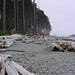 Ruby Park Photo 11