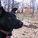 Ruby Gates Photo 16