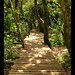 Jorge Cuartas Photo 23