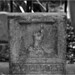 Alice Burt Photo 12