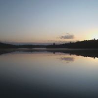 Rodger Peck Photo 4