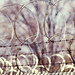 Mariam Sharp Photo 4