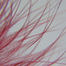Rebeca Rojas Photo 17