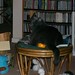 Lester Hatch Photo 9