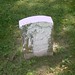 Benjamin Reed Photo 41