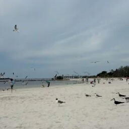 Joann Peters Photo 3