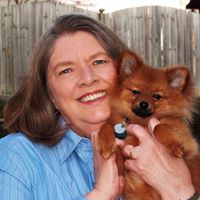 Diane Gee Photo 16