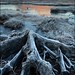Heather Frost Photo 18