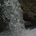 Joanne Sparks Photo 8