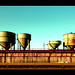 Thomas Kies Photo 15