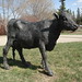 Regina Potter Photo 14
