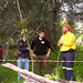 Ann Newland Photo 16
